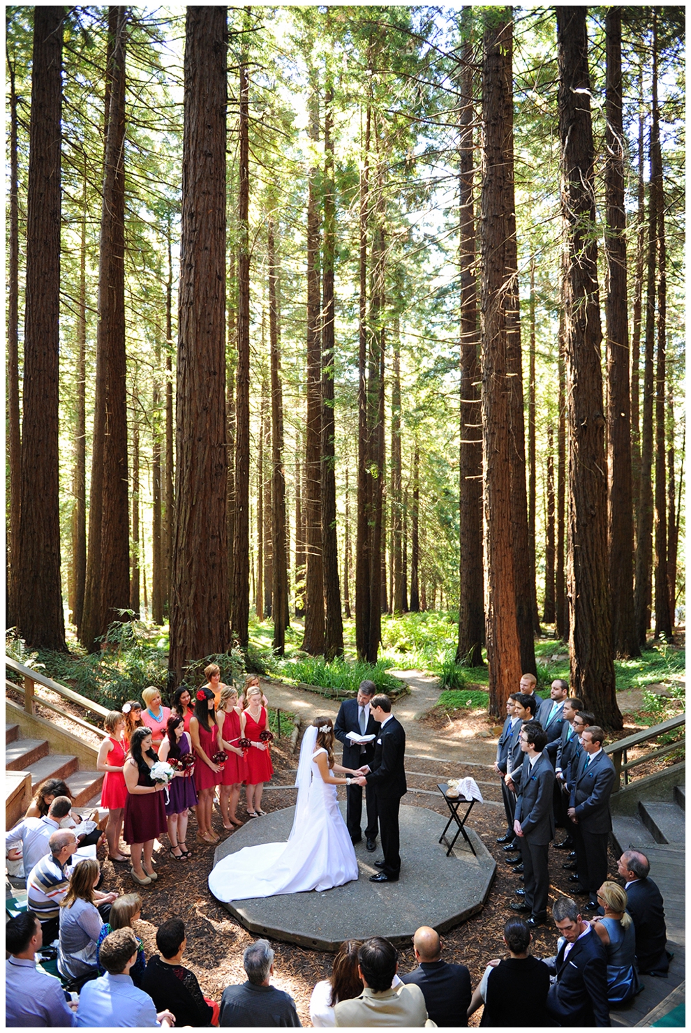 UC Berkeley Botanical Garden Wedding Photos, Redwood Wedding Photos