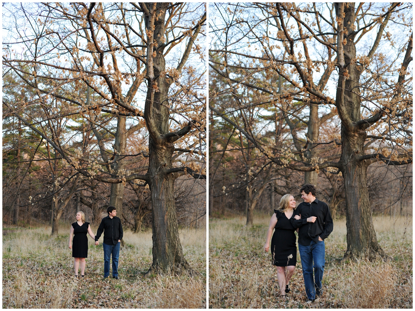 st-louis-engagement-photos-forest-park-matt-and-connie